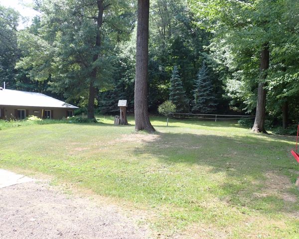 Auction listing photo